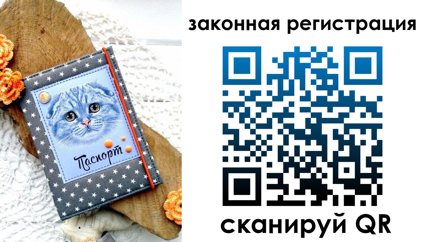регистрация в Почепе